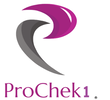 PROCHEK1 INSPECTION SERVICES